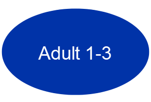 blue oval with text "Adult 1-3"