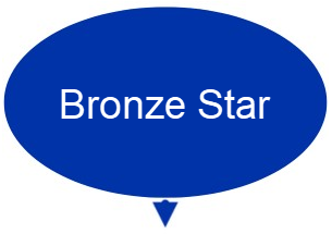 blue oval with text "Bronze Star"