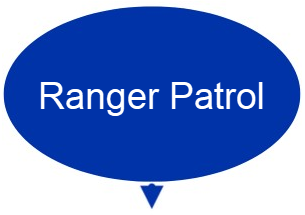 blue oval with text "Ranger Patrol"